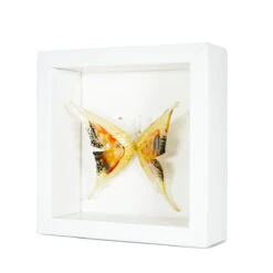 Wonderful Ocher Butterfly Figurine - Original Murano Glass OMG -Life Store butterfly yellow original murano glass omg1