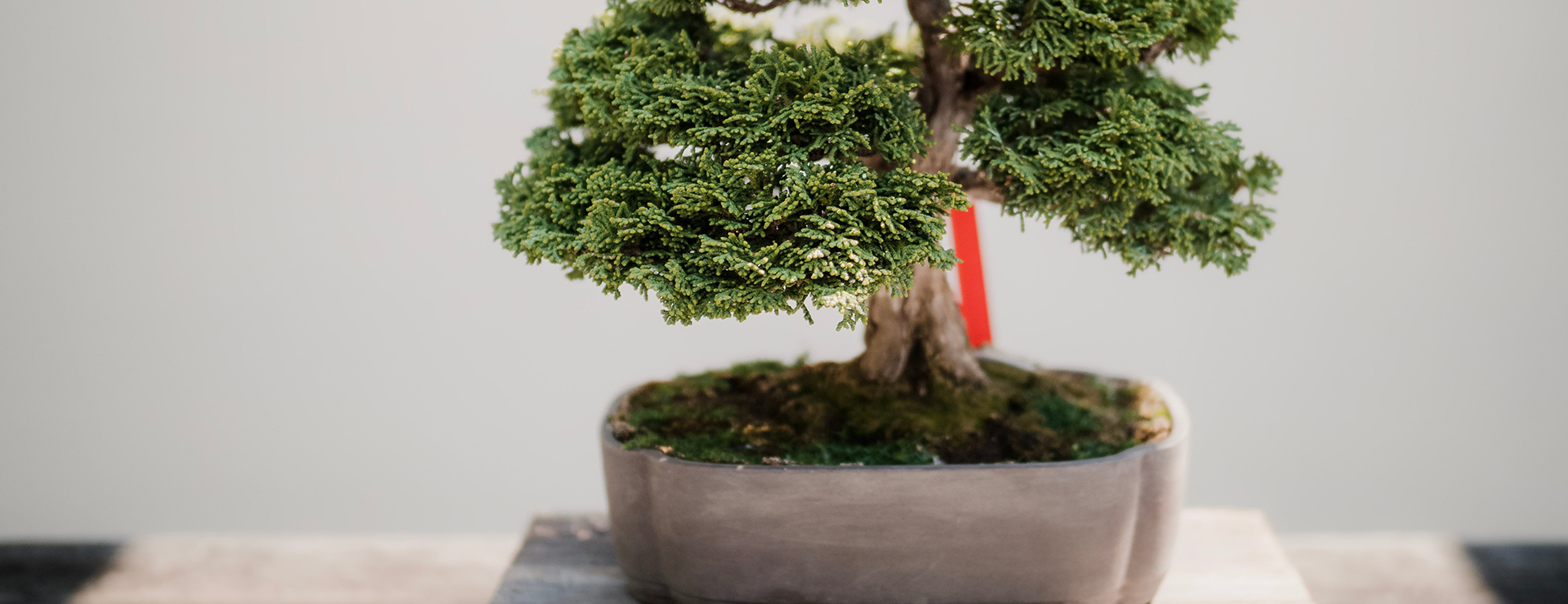 Life Store -Life Store photo 1526397751294 331021109fbd